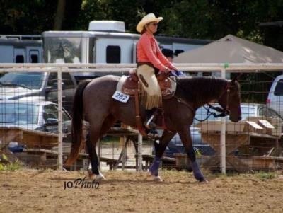 Instant Cash Too JW<br>AQHA 5296321